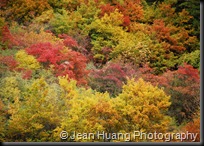 Beautiful Fall Colors of Jiuzhaigou, Sichuan, China (2)