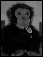 monkeyman[3]