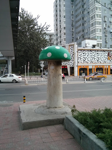 Green Mushroom (1UP?)