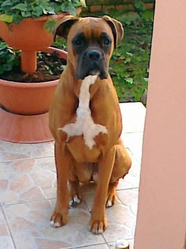20101024.jpg