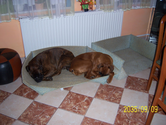 100_3355.JPG