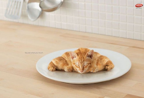 [croissant-kitty[2].jpg]