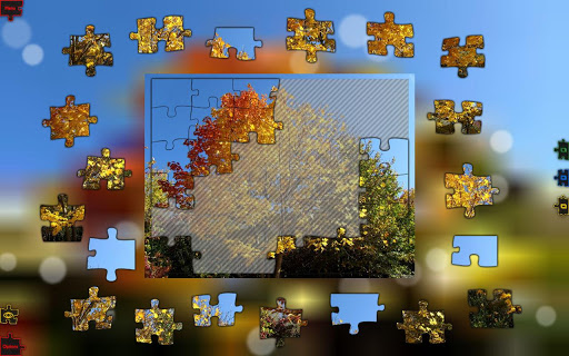Ultimate Puzzle