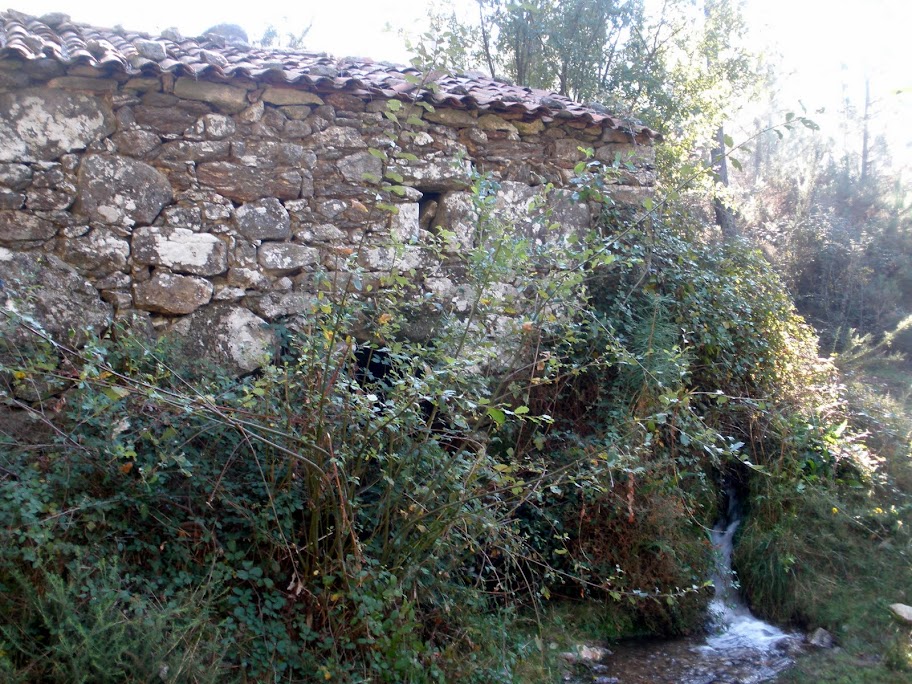 Camino de Santiago portugués