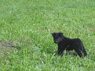 DSC06845.jpg