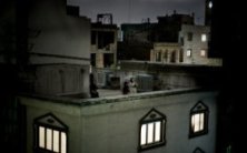 World Press Photo 2010