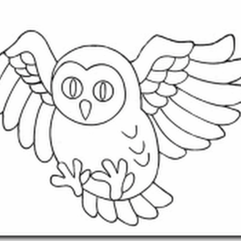 Dibujos para colorear de búhos
