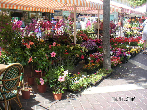 Cours Saleya Flower Market