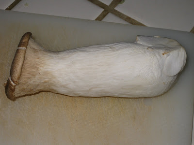 photo of a king oyster mushroom