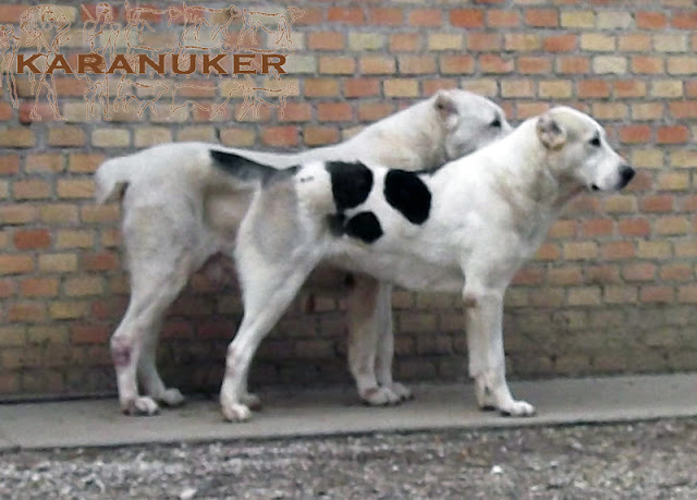 nur-maciek-317.jpg