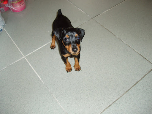 Panna%20004.jpg