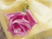%5Bwallcoo%5D_flower_photography_A085022