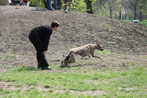 IMG_6534.JPG
