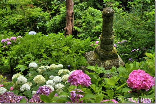 The temple amongst a persuasion together with lots of flowers TokyoMap Hase-Dera Temple: Flowers