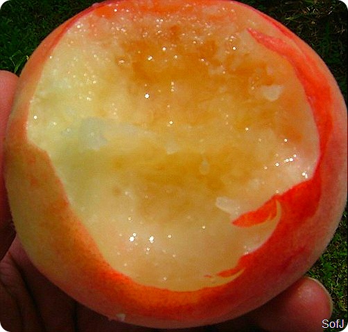  build named peaches hateful really piffling to people who rarely swallow the peach TokyoMap Fukushima Peaches