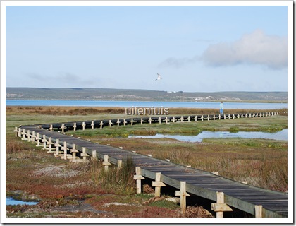 DSC_0210 DSC_0210
