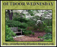 [Outdoor_Wednesday_logo[2].png]
