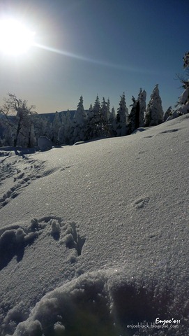 [P10900921.jpg]