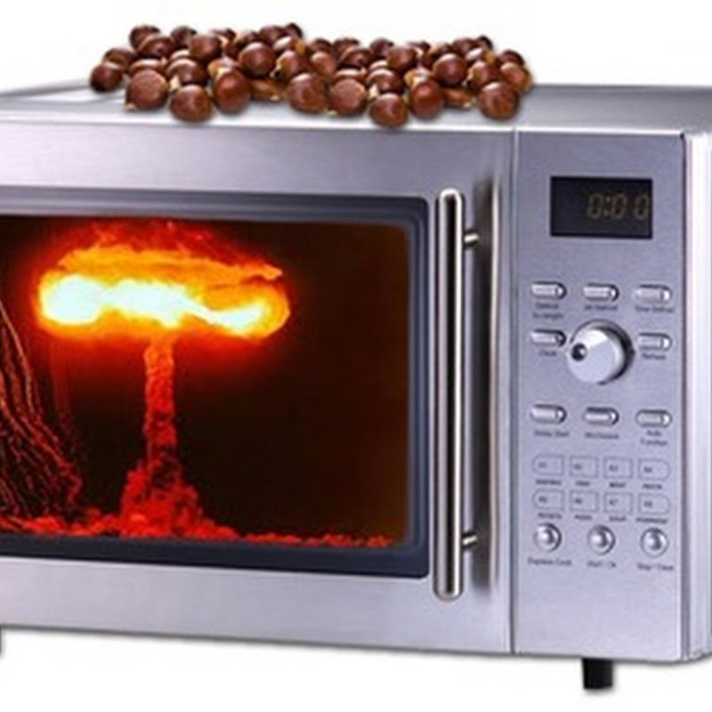 Lava Jewel: Chestnuts Roasting in a Microwave