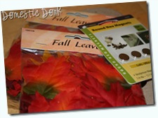 fall wreath craft easy cheap supplies