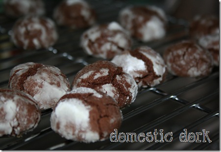 chocolate crinkle recipe cookie