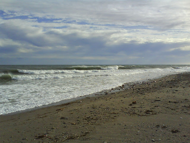 DSC00328.JPG