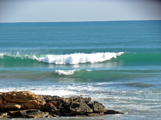DSCN5751.JPG