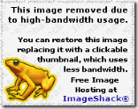 imageshack bandwidth exceeded