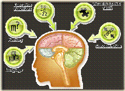 FB_Brain_Mind_Map_350x255px