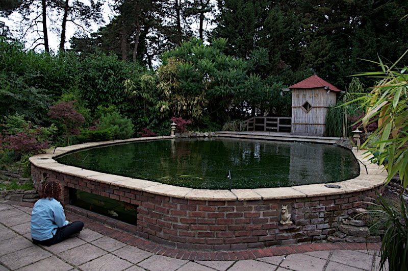 Fish Pond Construction Brick Wall Strengths Etc Page 1 Homes Gardens And Diy Pistonheads Uk