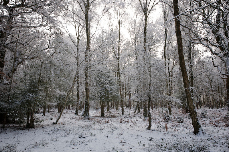 2010-12-18%20at%2012-20-55.jpg