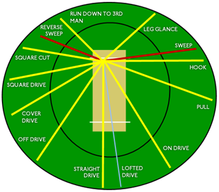 cricket-shots