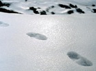 cold-feet-cryptic-clue