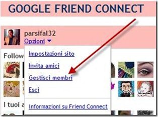opzioni gestisci membri google freind connect