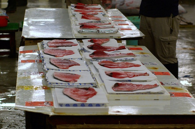 [Tsukiji for posting_2010-05-17 Day 2 (4).jpg]