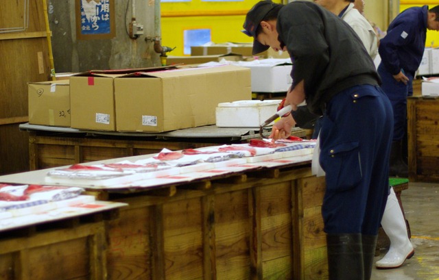 [Tsukiji for posting_2010-05-17 Day 2 (13).jpg]