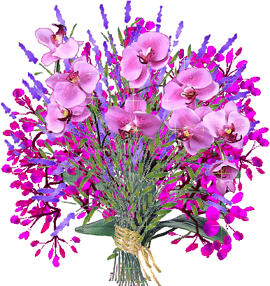 b73f7c941.png