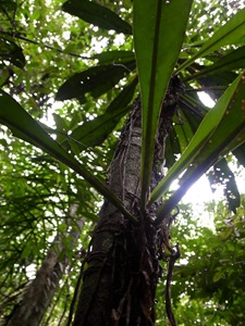R0013351 R0013351