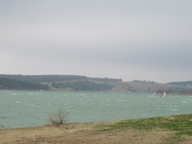 IMG_6866.JPG