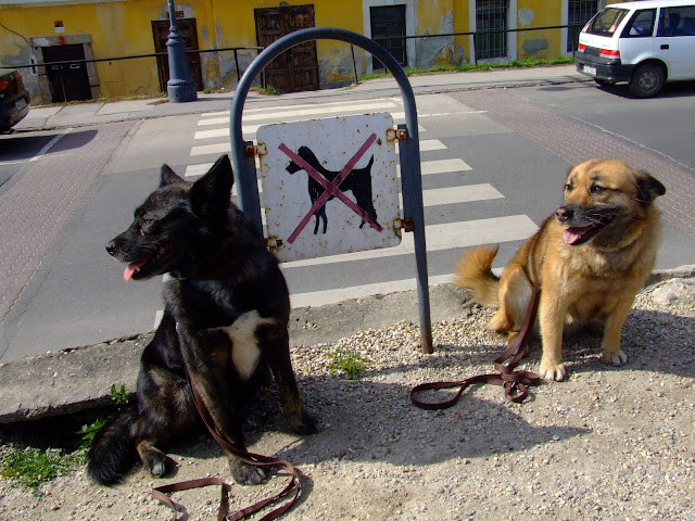 DSCF1194.JPG
