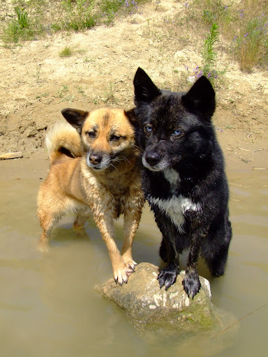 DSCF8075.JPG