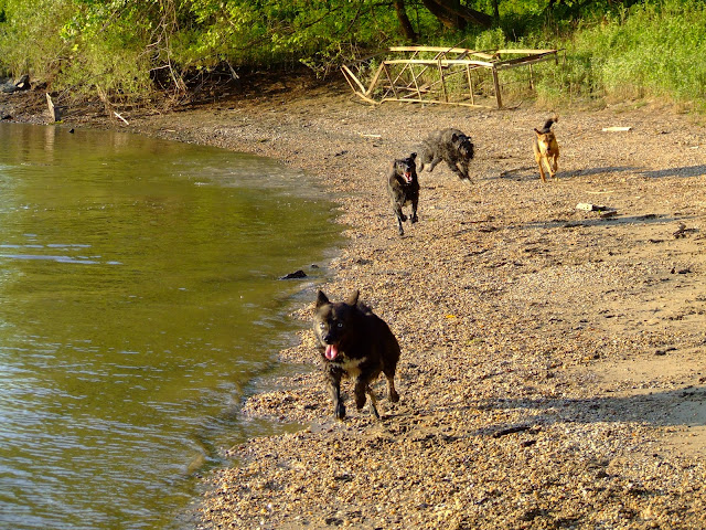 DSCF9056.JPG