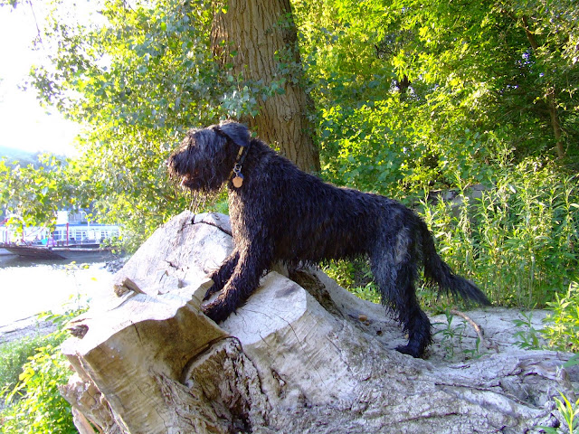 DSCF9095.JPG