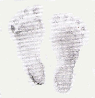[foot prints 2[3].jpg]