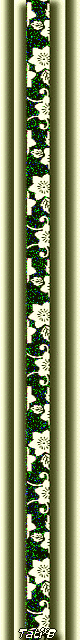 LFF31.png