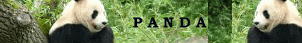 45.png