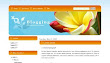 blogging