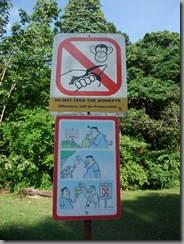 Do not feed the Monkeys!
