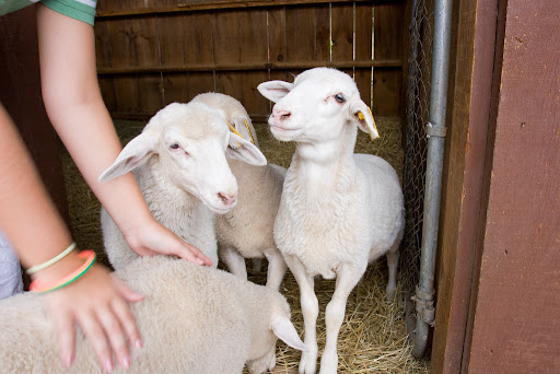 heart church austin bridge turn west Orthodox christmas annov , also worship leaders from smith , gerald manndec Riverbend Heart church made a special