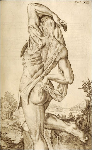 Giulio Casserio (ca. 1552-1616) (anatomist), Odoardo Fialetti (artist), Venice, 1627. Copperplate engraving